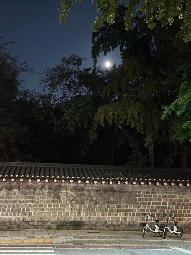 Full moon rising over ginkgo trees above the stone wall of Gyeongbokgung Palace at night